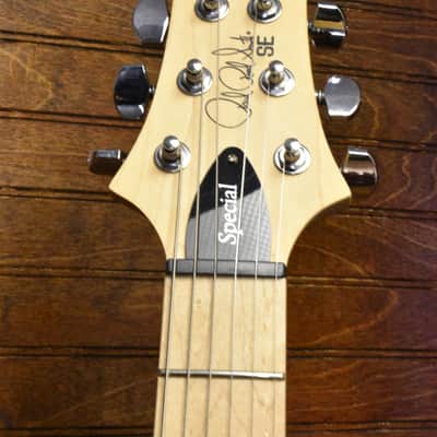 Paul Reed Smith SE Swamp Ash Special, Vintage Sunburst with Gig Bag image 6