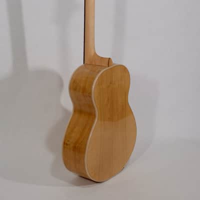 Steel String Baritone Ukulele - Custom Case image 8