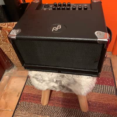 Phil Jones BG-100 Bass Cub 2x5 100w Combo BK image 12