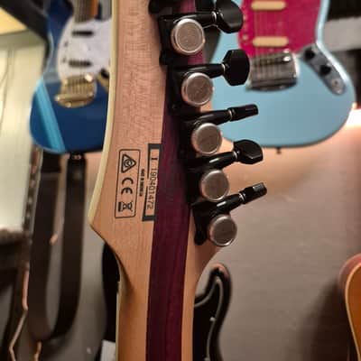 Ibanez FRIX6FEAH 2019 - Charcoal Stained Flat image 8