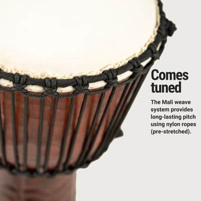 Meinl Percussion PROADJ4-M Pro 10" Mahogany Rope Tuned Djembe, Hand Selected Goat Skin Head (VIDEO) image 5