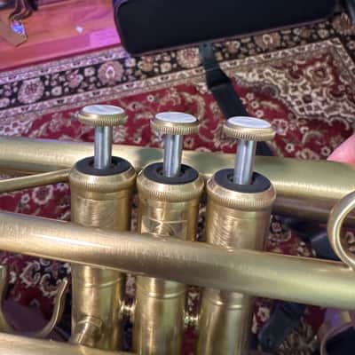 Austin Custom Brass Doubler cornet 2022 - Satin laquer image 5
