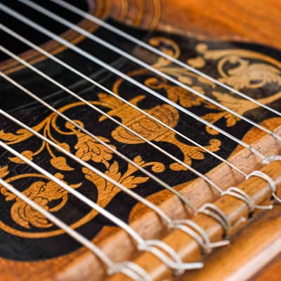Giacinti Celeste & Figlio Harp Guitar 1880s image 11