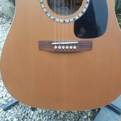 Art & lutherie Cedar 2006 image 4