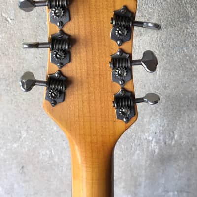 1958 Rickenbacker 325, Capri Solid Top - Very Rare image 15