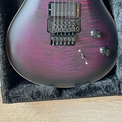 PRS Dustie Waring Signature CE 24 Floyd - Waring Burst image 2