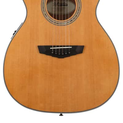 D'Angelico Premier Tammany - Vintage Natural image 1