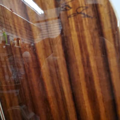 Zager ZAD900ce - Tobacco Sunburst image 11