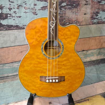 Michael Kelly Dragonfly 4FL Fretless Acoustic Bass image 1