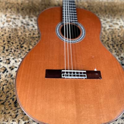 Cordoba C10 CD Cedar Classical Guitar Natural 2025 image 1