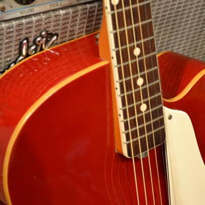 Eko Explorer -VIDEO- True Vintage Made in Italy (Hofner, Valco, Silvertone, Vox) image 4