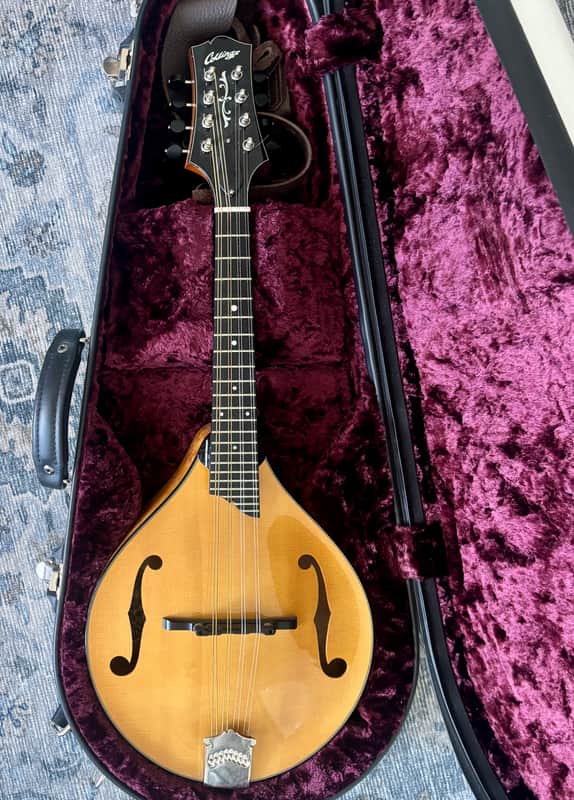 Collings MT2 Birdseye Maple/ Italian Spruce Honey Amber 2018 - Full high-gloss nitrocellulose lacquer finish image 1