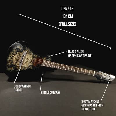 Lindo B-STOCK 933C Alien Black Acoustic Guitar & Gigbag (Minor Cosmetic Imperfections) image 2