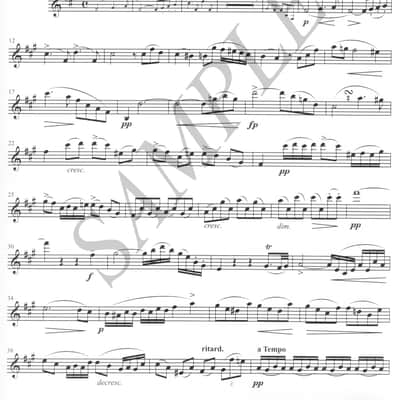 Schubert - Sonata Arpeggione in A minor - for Alto saxophone and piano image 2