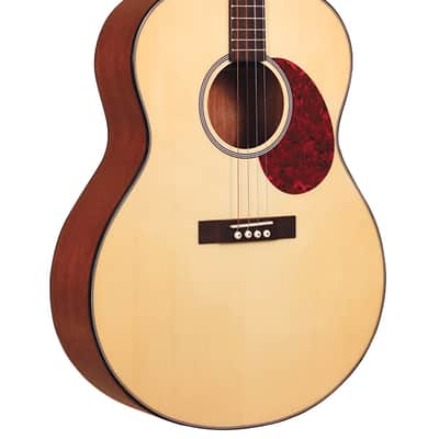 Gold Tone TG-10 Spruce Top Mahogany Neck 4-String Acoustic Tenor Guitar with Gig Bag image 1