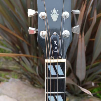 Gibson Dove 1975 Sunburst image 2
