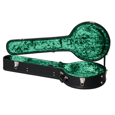 Epiphone Mastertone Classic Banjo Natural - Banjo image 10