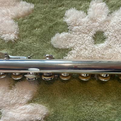 Solexa 201 Flute – Full Setup w/ Hard Case, Travel Case, Cleaning Kit + Plugs image 8