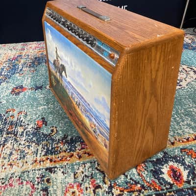 Charlie Daniels' Fender 1969 Twin Reverb Amp with Custom Cowboy Painting Front Panel 1969 - Mahogany image 8