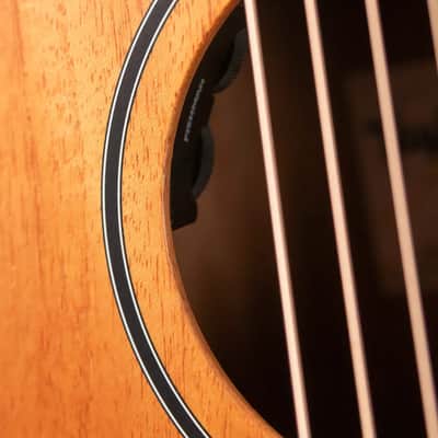 Taylor 24ce Grand Auditorium Acoustic/Electric Guitar with Gig Bag image 10