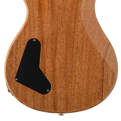 PRS Paul's Guitar Mango Top Limited Edition Electric Guitar w/Hardshell Case, Tiger Eyes image 2