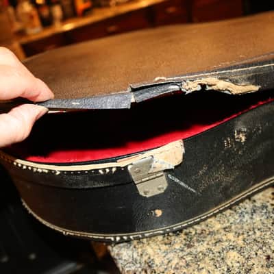 Mid to late 60' Gibson ES-330 ES-335 soft case image 20