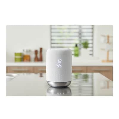 Sony LF-S50G Google Assistant Built-in Wireless Speaker (White) image 6
