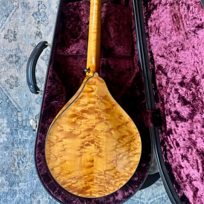 Collings MT2 Birdseye Maple/ Italian Spruce Honey Amber 2018 - Full high-gloss nitrocellulose lacquer finish image 4