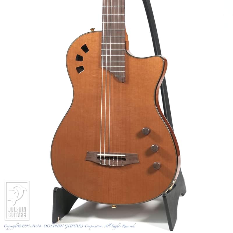CORDOBA STAGE GUITAR (TRADITIONAL CD) image 1