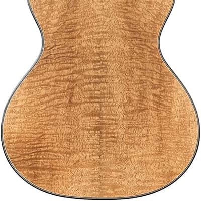 Kala Metropolitan Series, 4-String Ukulele, Concert KA-MNGG-C-W-Bag image 3