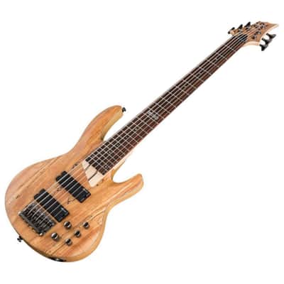 ESP LTD B-206SM Spalted Maple 6-String Bass Guitar, Natural Satin image 2