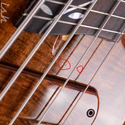 2006 Dingwall Prima Artist Claro Walnut image 6