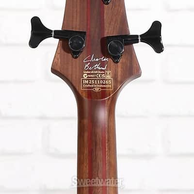 Schecter Charles Berthoud CB-4 Bass Guitar - See-thru Black Satin (CB4STBSd1) image 4