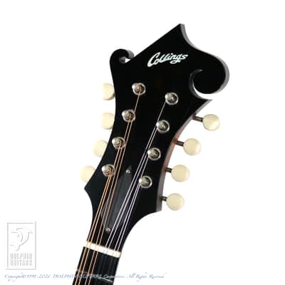 COLLINGS MF-O  2009[Pre-Owned] image 7