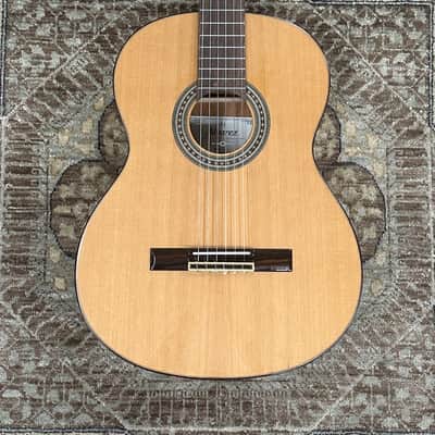 Alvarez Artist Series AC65 Classical Guitar w/ Pro Setup image 1
