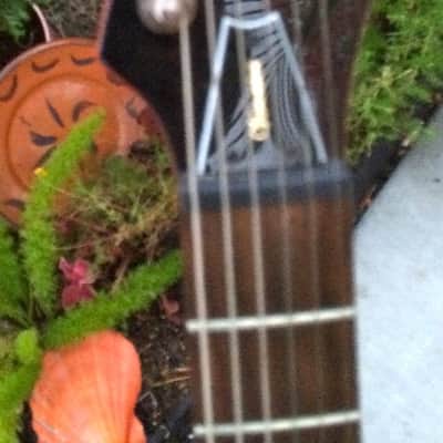 NEW SAMICK JTR VERONICA VN-10 FLYING V STYLE GUITAR image 3