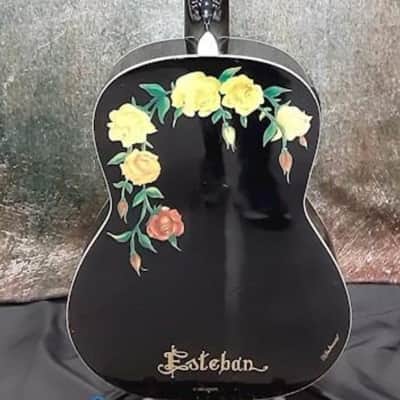 Esteban Spanish Rosas Classical Electronic Acoustic Guitar - Floral image 2