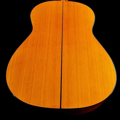 Omar Olague Double Back Concert Flamenca Blanca Especial 2024-Spruce/Cypress image 5