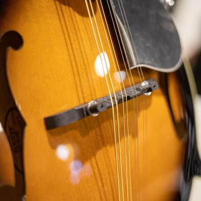 Goldtone GM-35 F-Style Mandolin w/case image 12