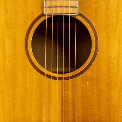 Daion MUGEN Mark III - Maple Series - Six String Acoustic image 4