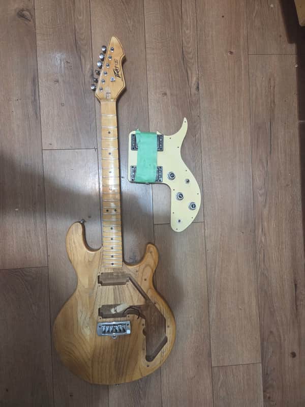 Peavey T-25 1979 - Natural image 1