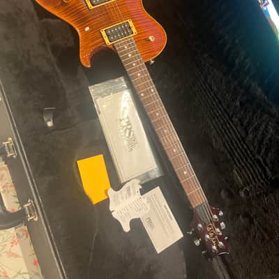 PRS SC 250 2007 - Tortoise Shell image 14
