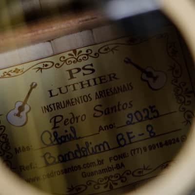 Pedro Santos 8-String Mandolin | Brazil 2025 image 8