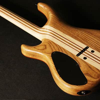 Mayones Regius 6 Flames Master Builder Collection 2014 image 15