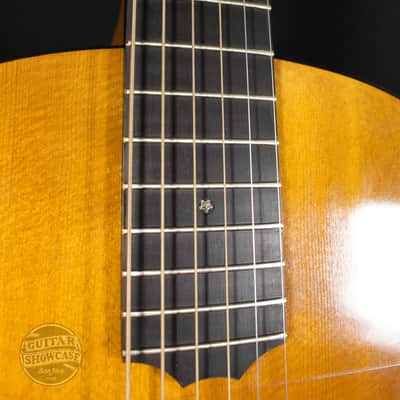 James Curtis Island Prototype Reverse Guitar image 8