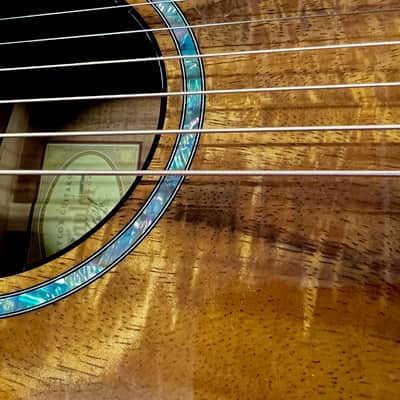 Taylor Spring Limited Edition Grand Concert Acoustic-Electric Guitar 2010 - Natural image 8