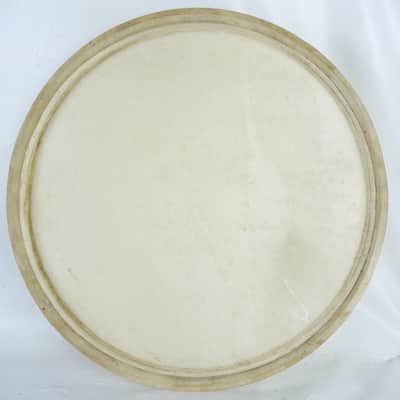 Ludwig 13" Whitecalf Calf Skin Tom Drum Head Batter Vintage 40s USA w/ splits image 5