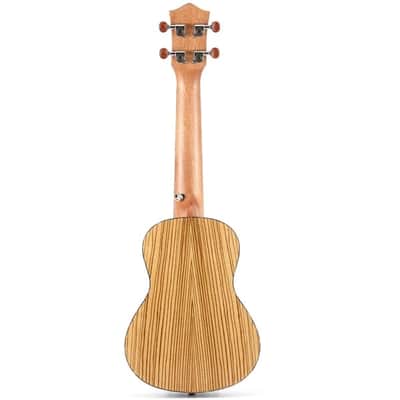 Zebrawood Body 23 inch Concert Ukulele with Ukulele Set Tuner Strap Nylon Strings image 3