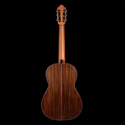 Kenny Hill Torres 2023-Spruce/Indian Rosewood-640 image 2