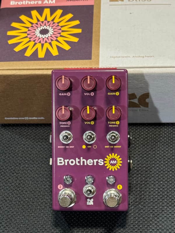 Chase Bliss Audio Brothers AM